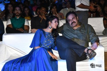 Naa Peru Surya Naa Illu India Pre Release Event Photos